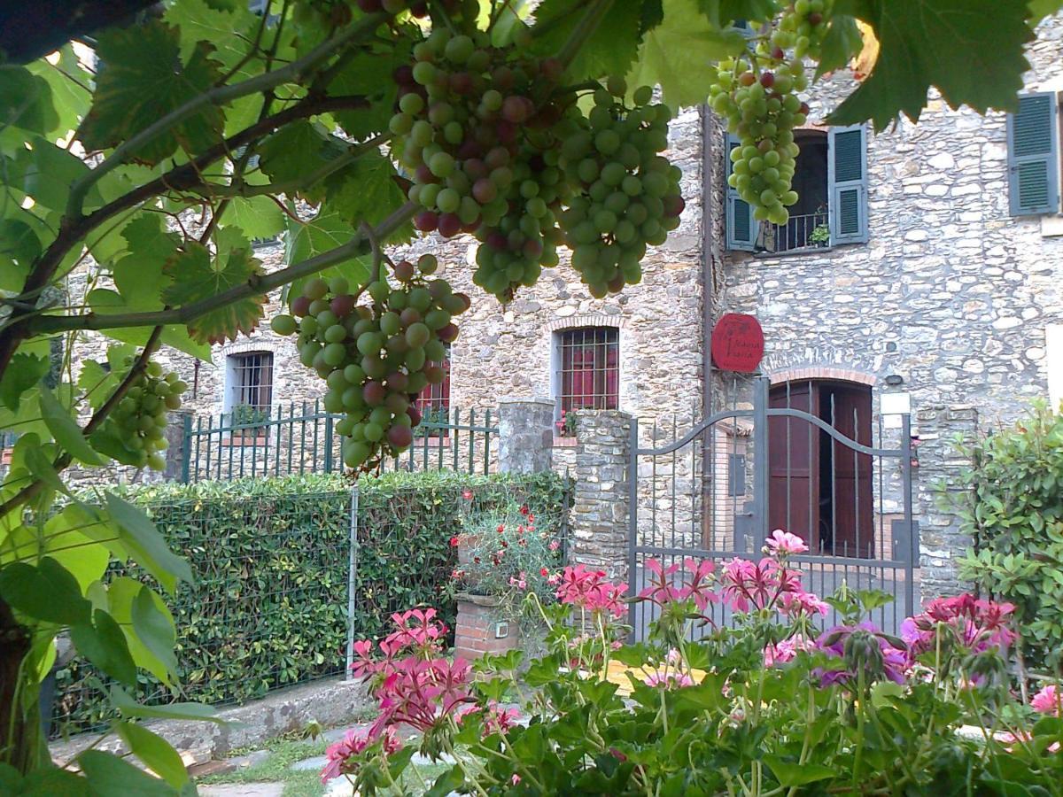 Agriturismo A Veggia Vigna Villa Garlenda Exterior foto